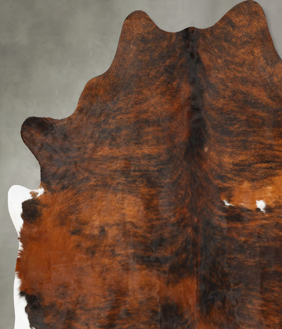 Dark Brindle XX-Large Brazilian Cowhide Rug 7'11"H x 6'10"W #B27231 by Hudson Hides