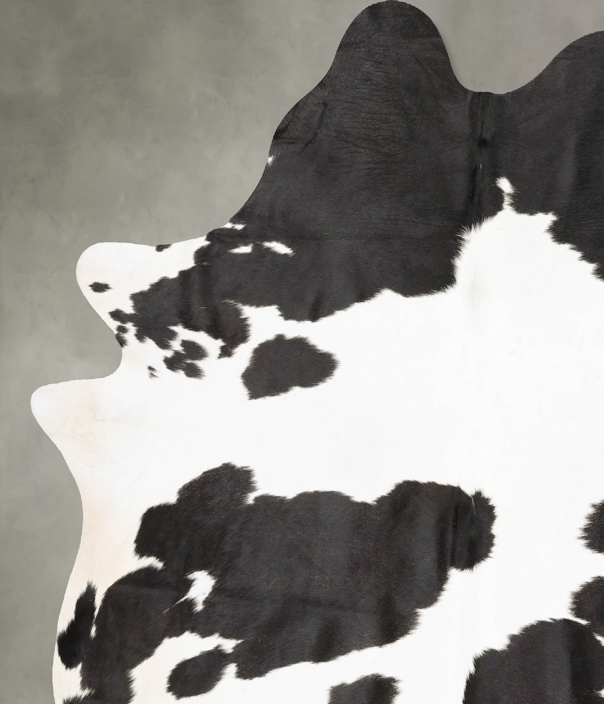 Black and White XX-Large Brazilian Cowhide Rug 8'4"H x 6'6"W #B27233 by Hudson Hides
