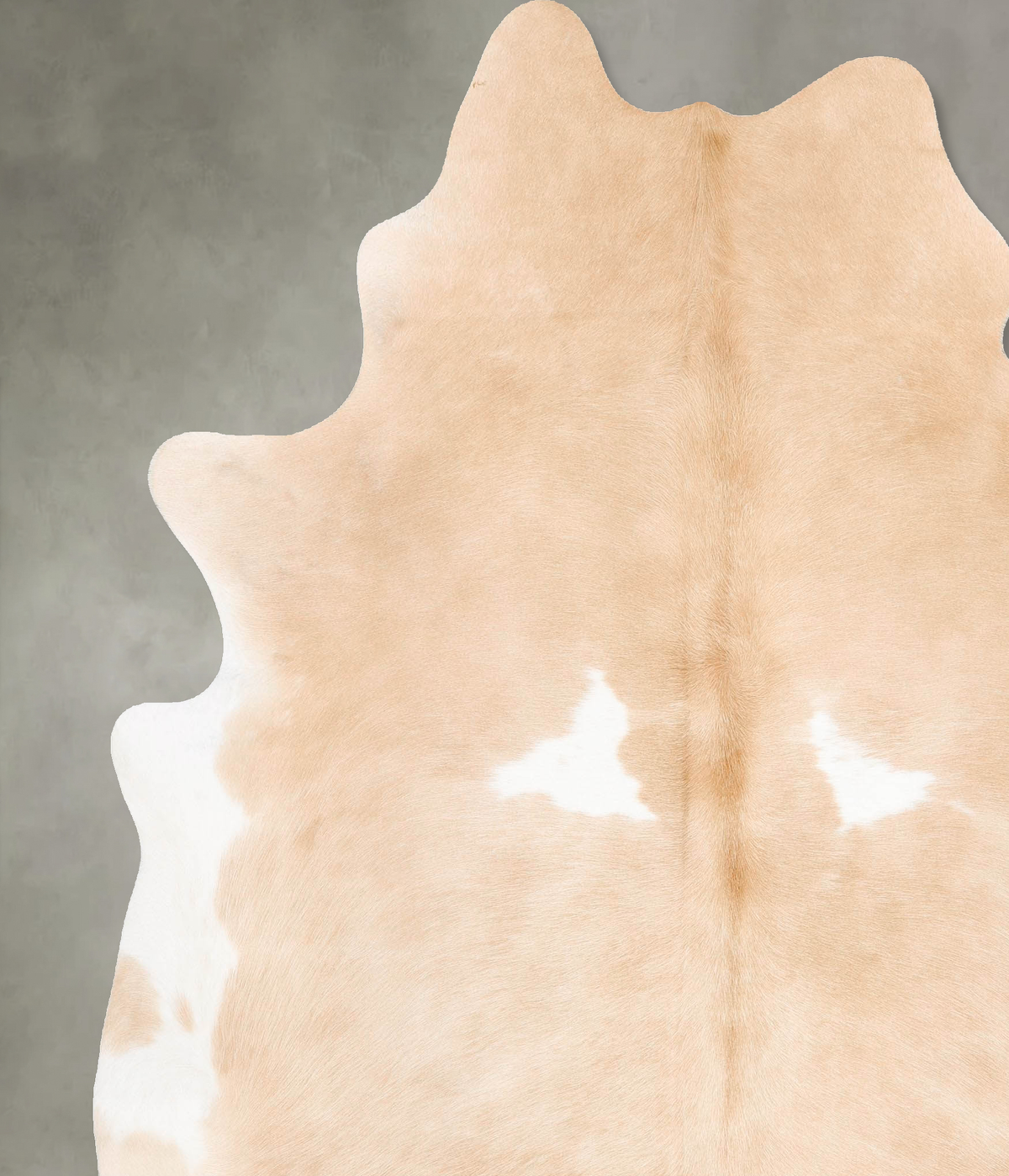 Beige and White XX-Large Brazilian Cowhide Rug 8'1"H x 6'10"W #B27234 by Hudson Hides