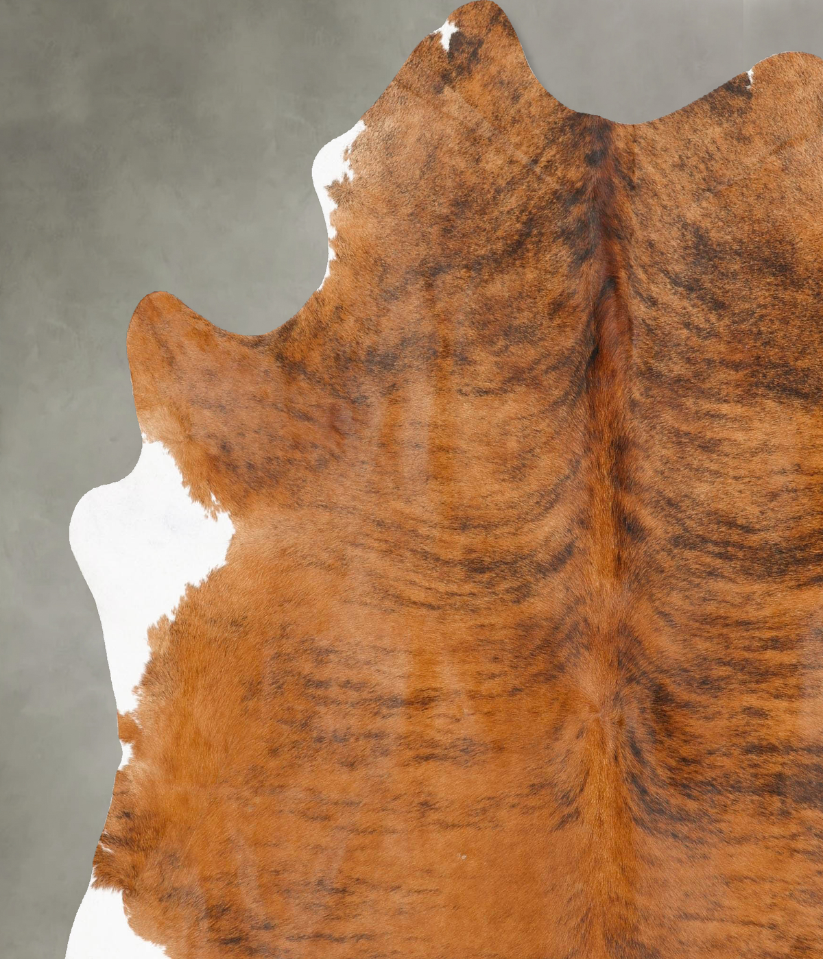 Medium Brindle Cowhide Rug #B27236