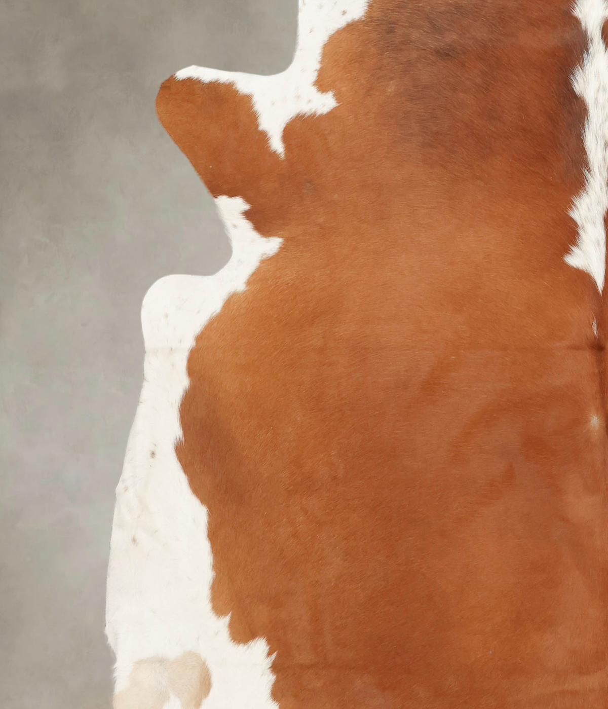 Hereford XX-Large Brazilian Cowhide Rug 7'10"H x 7'9"W #B2724 by Hudson Hides