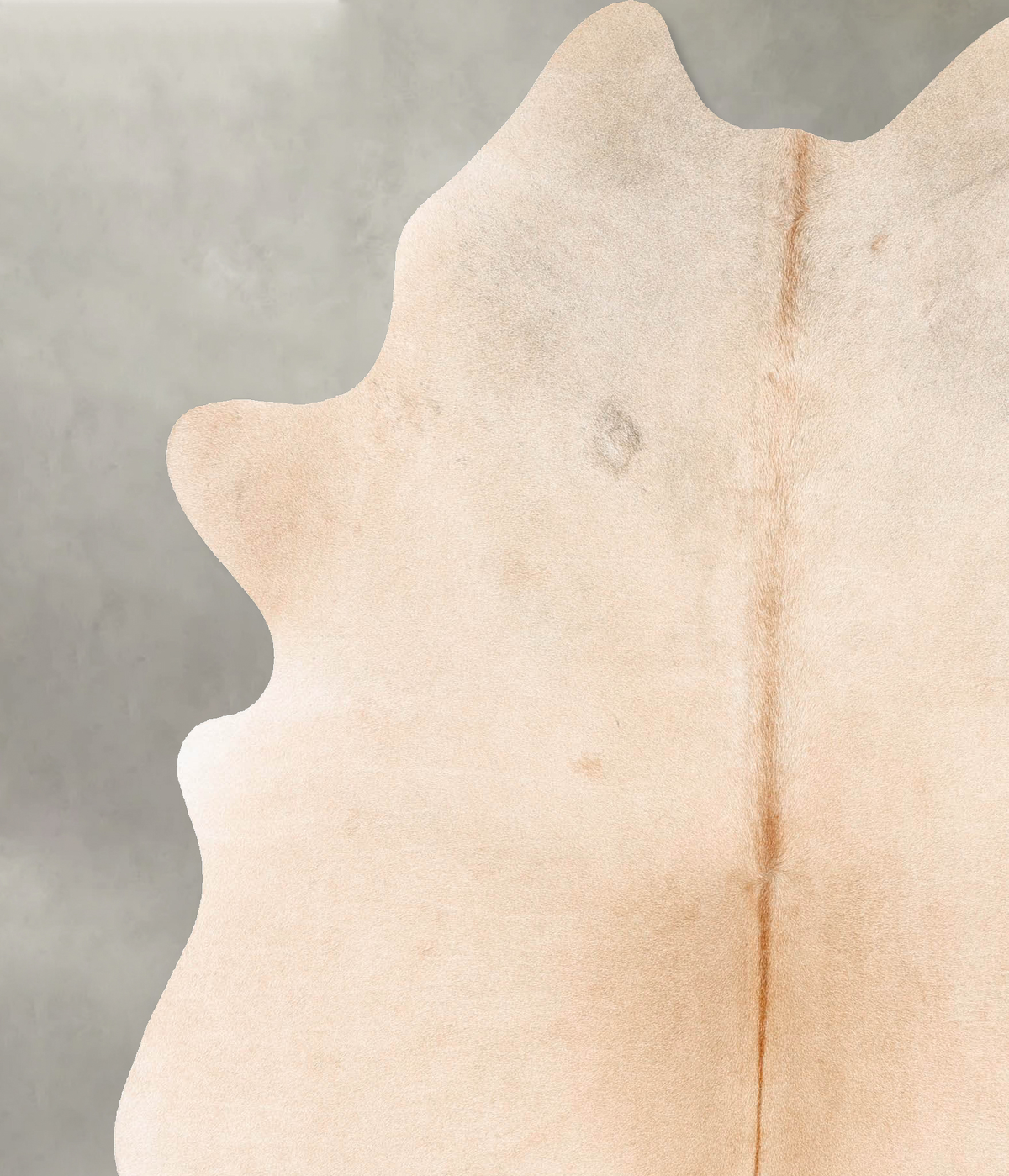 Beige X-Large Brazilian Cowhide Rug 7'7"H x 6'1"W #B27244 by Hudson Hides