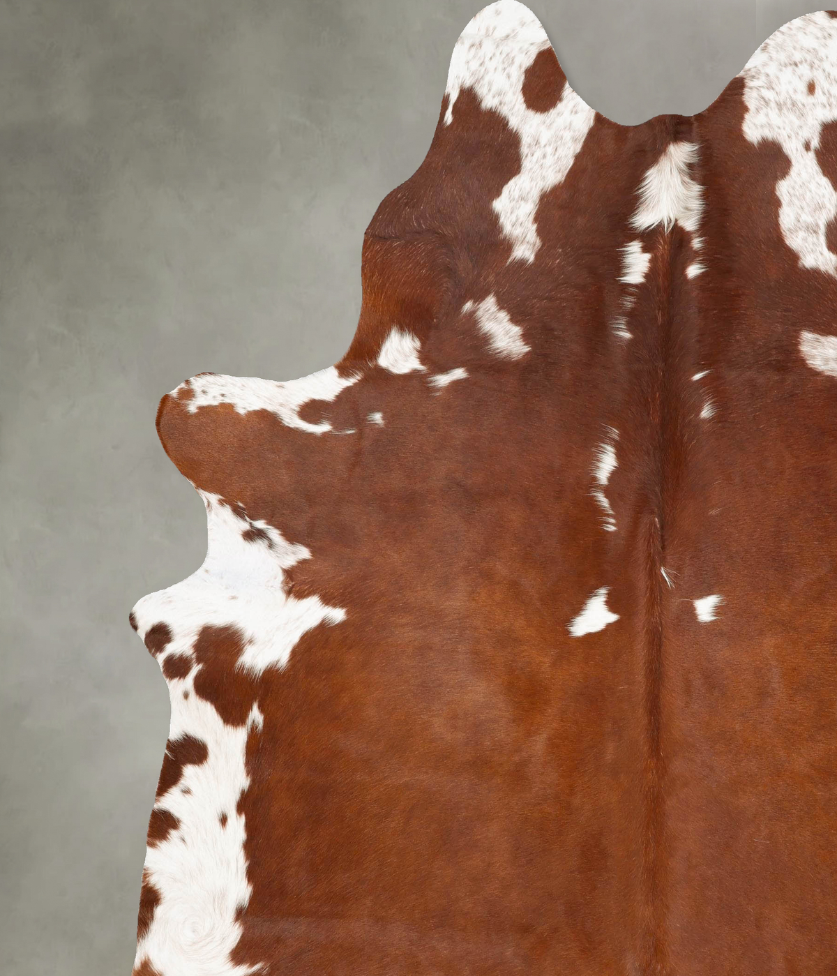 Brown and White Regular XX-Large Brazilian Cowhide Rug 8'6"H x 7'1"W #B27246 by Hudson Hides