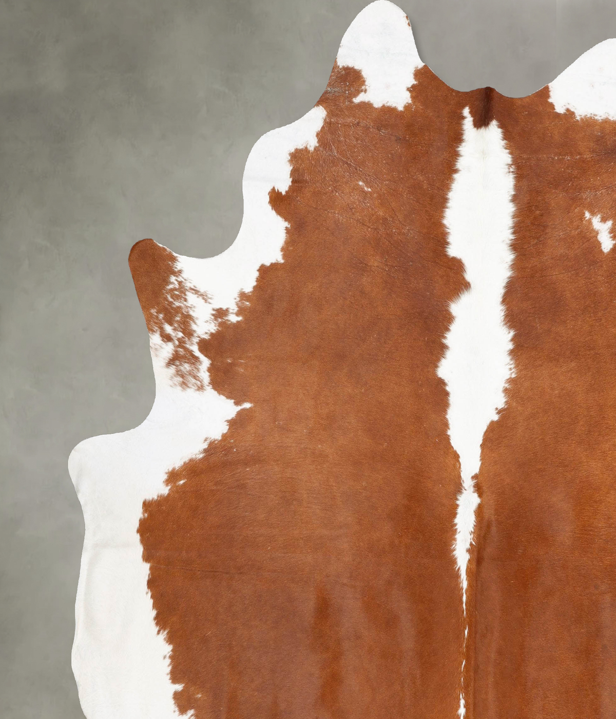 Brown and White Regular XX-Large Brazilian Cowhide Rug 8'9"H x 7'8"W #B27247 by Hudson Hides