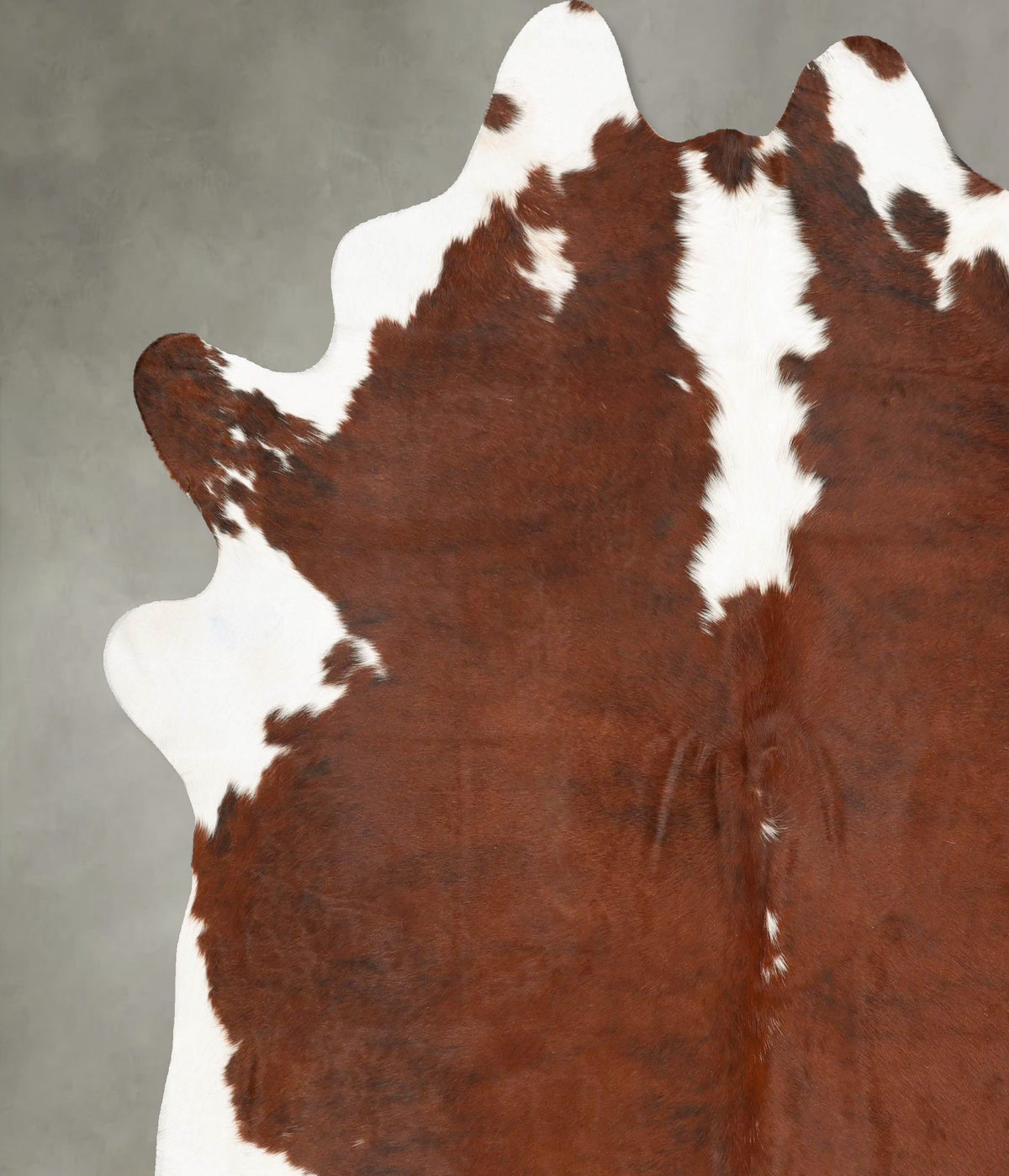 Hereford XX-Large Brazilian Cowhide Rug 7'10"H x 7'3"W #B27248 by Hudson Hides