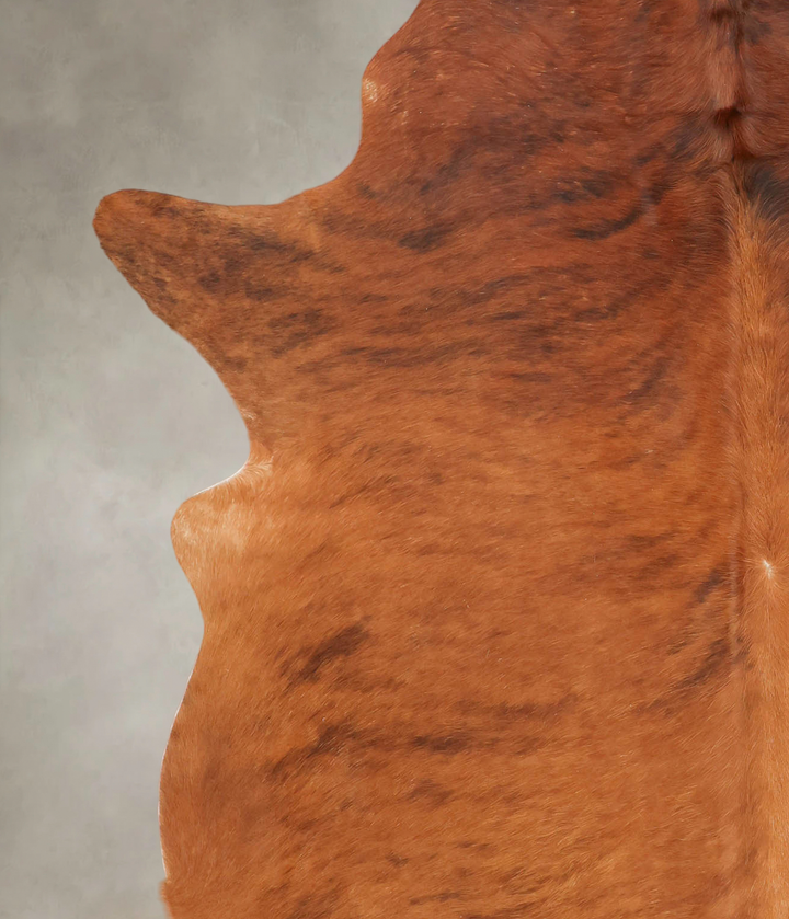 Medium Brindle XX-Large Brazilian Cowhide Rug 7'6"H x 6'9"W #B2725 by Hudson Hides