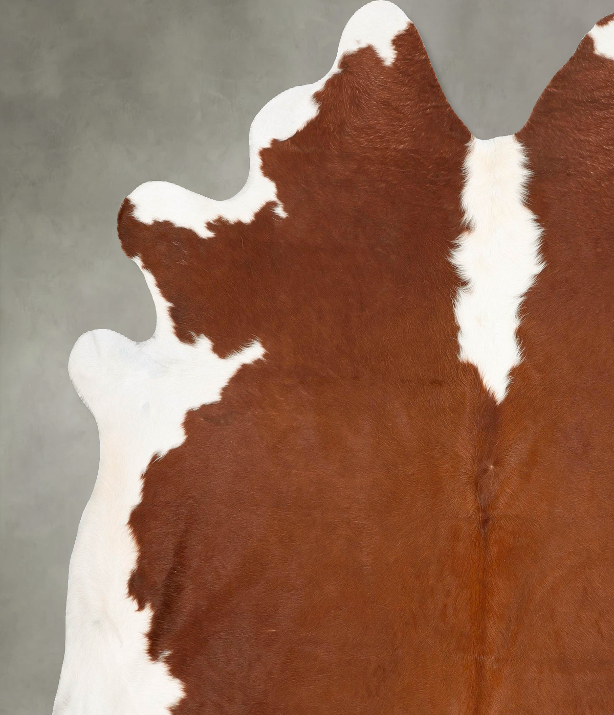 Hereford XX-Large Brazilian Cowhide Rug 8'2"H x 7'5"W #B27250 by Hudson Hides