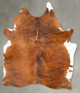 Medium Brindle X-Large Brazilian Cowhide Rug 8'0"H x 6'0"W #B27252 by Hudson Hides