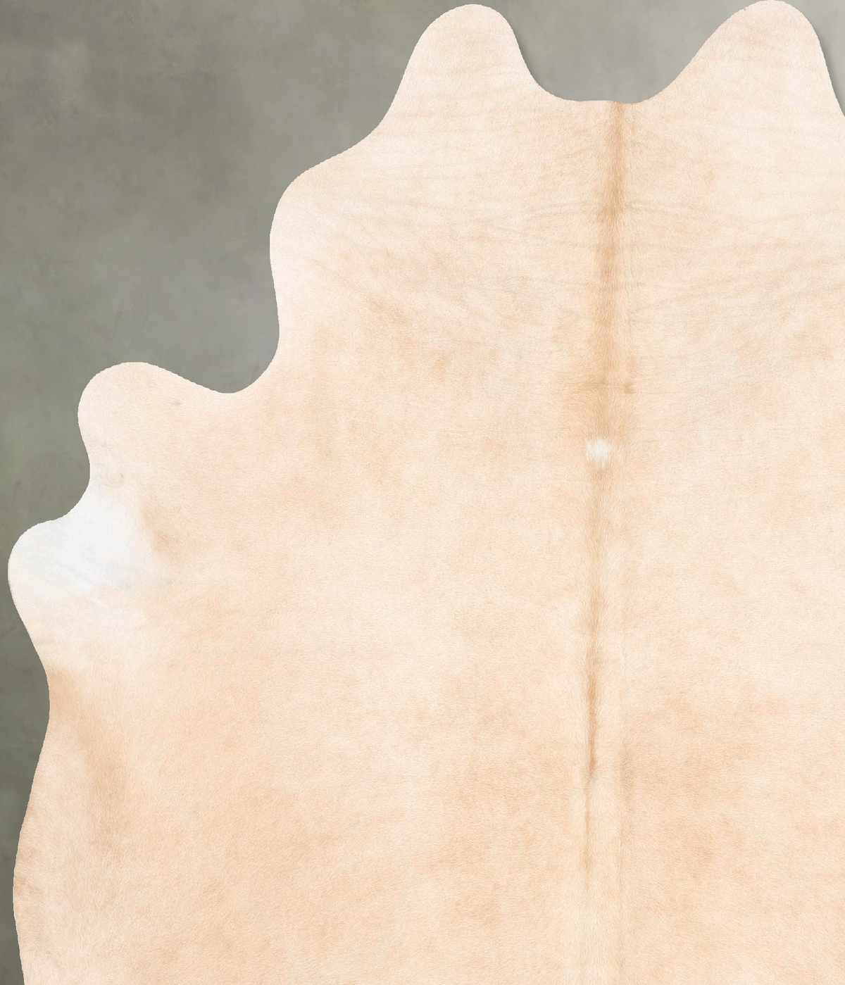 Palomino XX-Large Brazilian Cowhide Rug 8'1"H x 6'5"W #B27255 by Hudson Hides