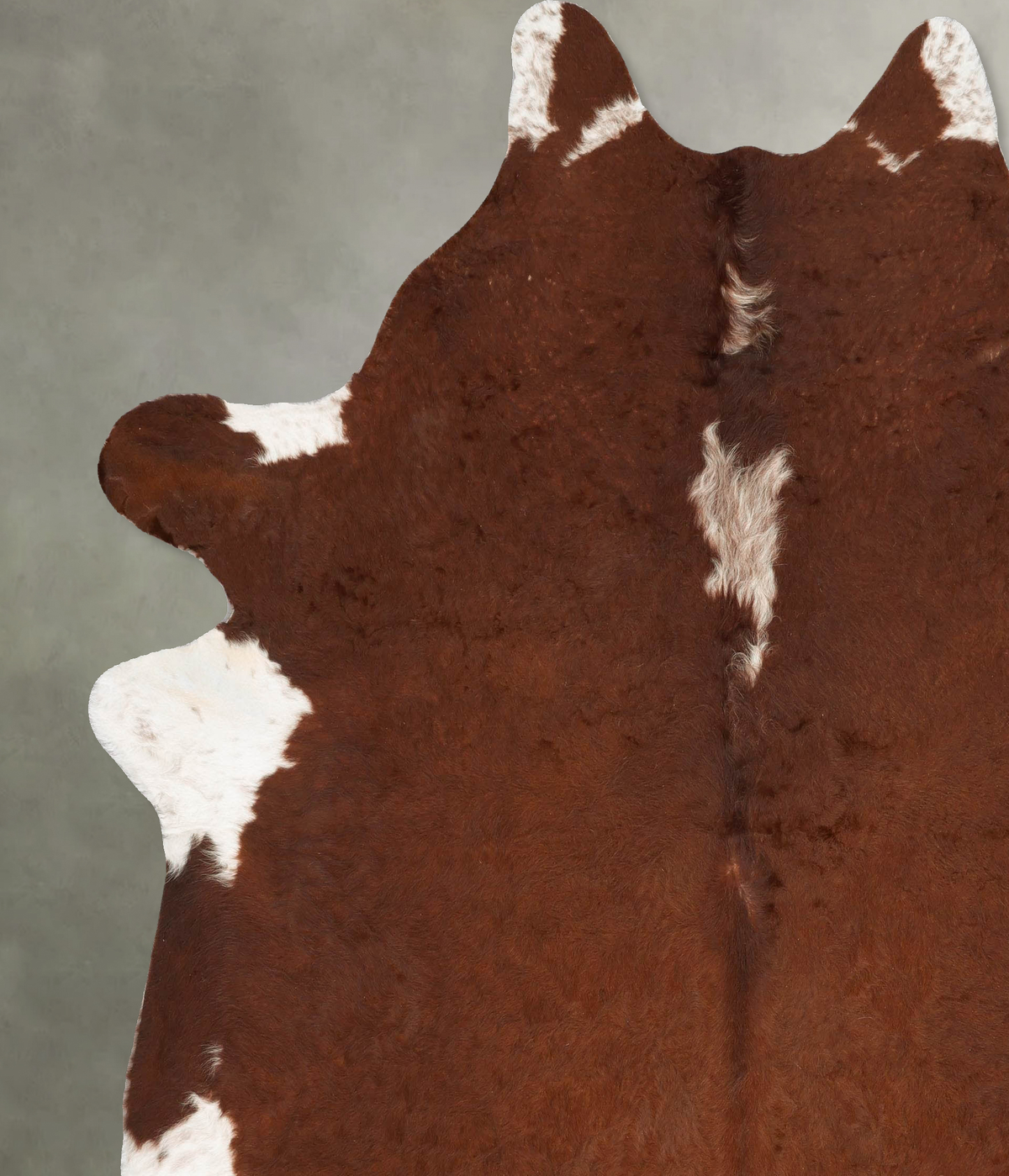Brown and White Regular XX-Large Brazilian Cowhide Rug 8'6"H x 7'6"W #B27258 by Hudson Hides