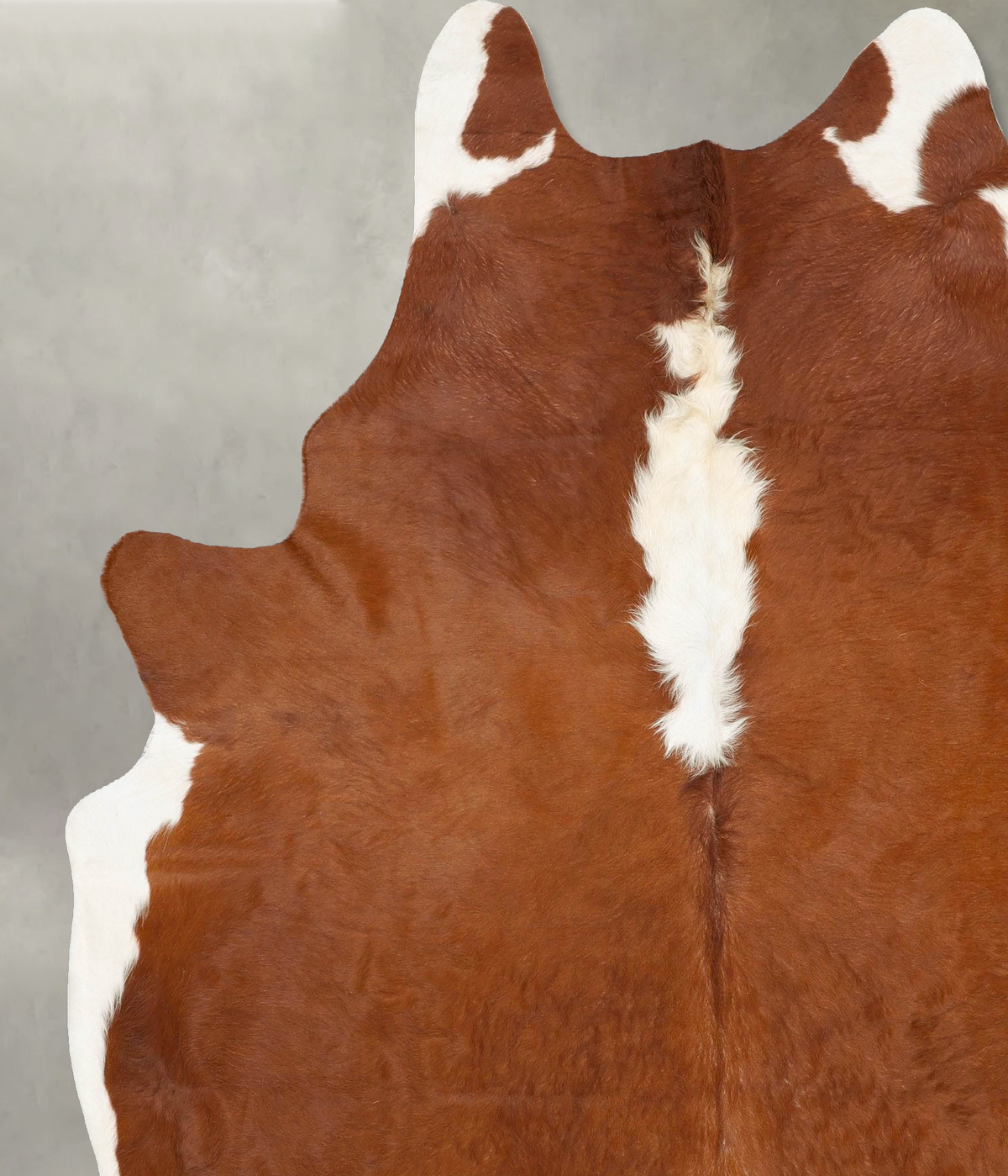 Hereford XX-Large Brazilian Cowhide Rug 8'2"H x 6'9"W #B27259 by Hudson Hides