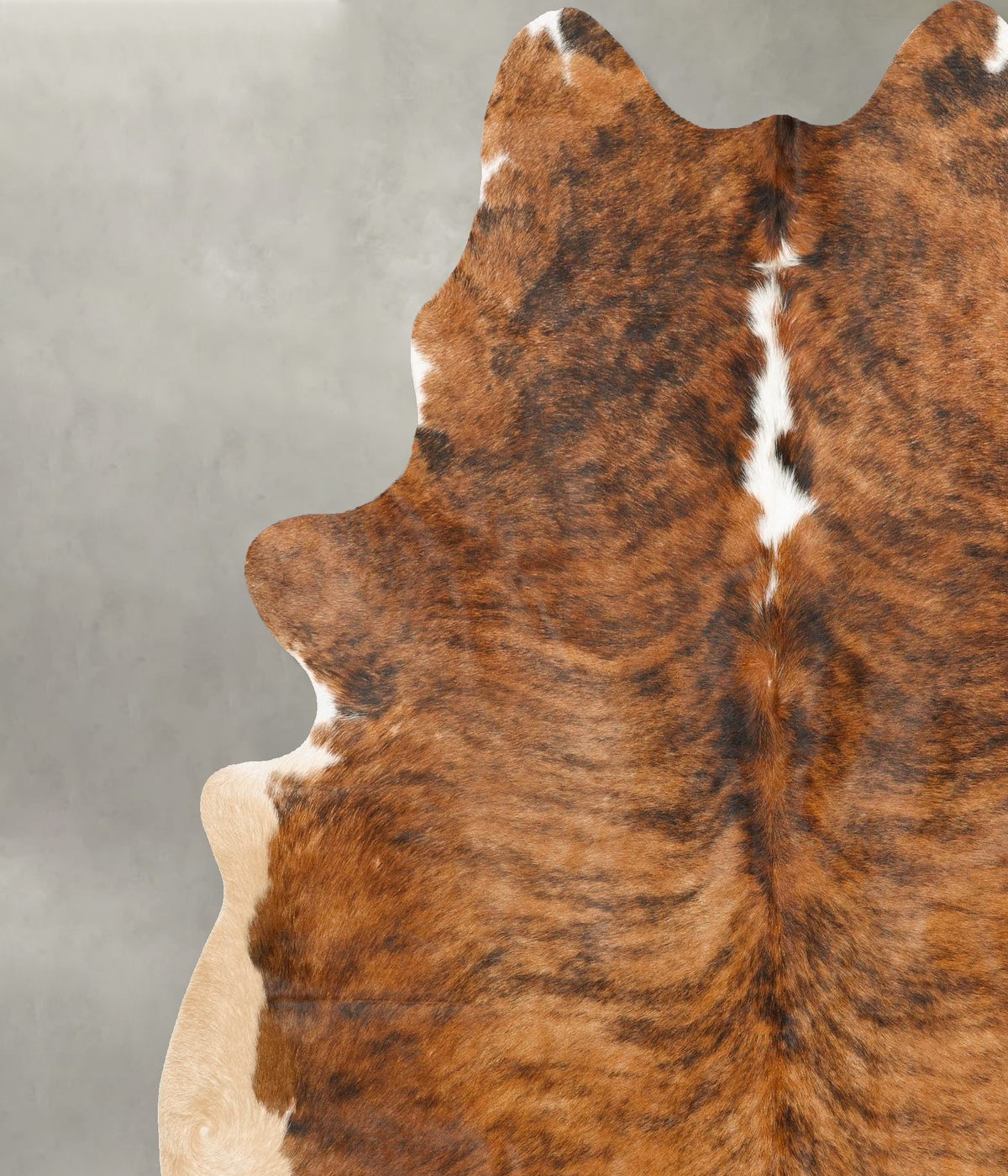 Medium Brindle XX-Large Brazilian Cowhide Rug 7'11"H x 7'2"W #B27260 by Hudson Hides