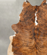 Medium Brindle XX-Large Brazilian Cowhide Rug 7'11"H x 7'2"W #B27260 by Hudson Hides