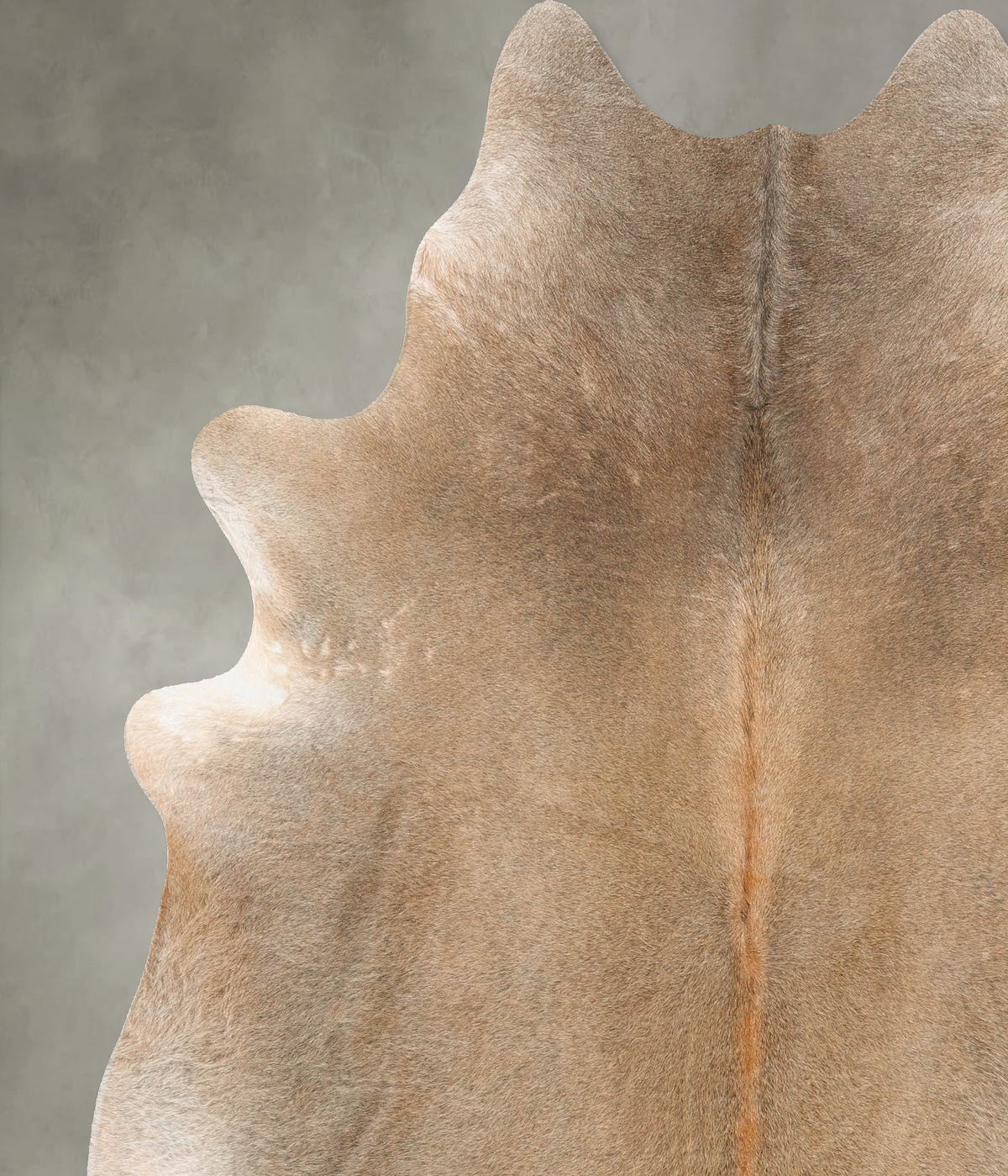 Grey with Beige X-Large Brazilian Cowhide Rug 7'5"H x 6'8"W #B27263 by Hudson Hides