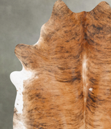 Medium Brindle XX-Large Brazilian Cowhide Rug 7'11"H x 6'10"W #B27272 by Hudson Hides