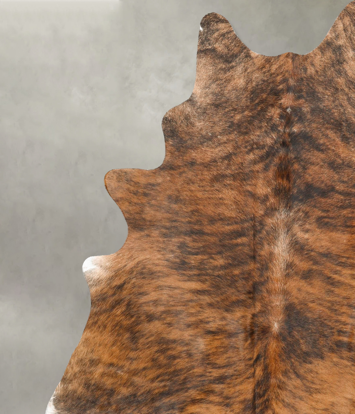 Medium Brindle X-Large Brazilian Cowhide Rug 7'5"H x 5'11"W #B27277 by Hudson Hides