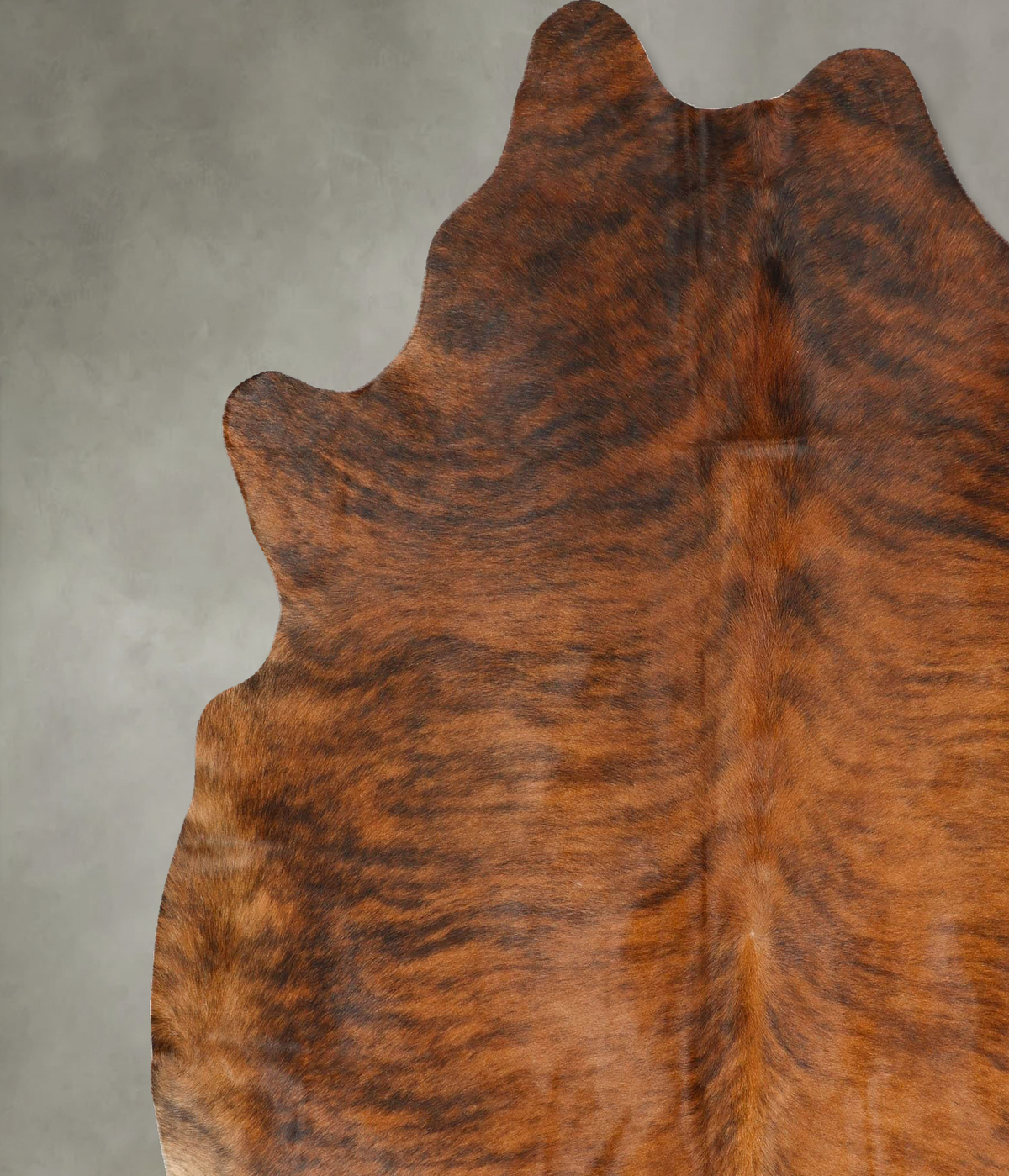 Medium Brindle XX-Large Brazilian Cowhide Rug 7'5"H x 6'11"W #B27278 by Hudson Hides