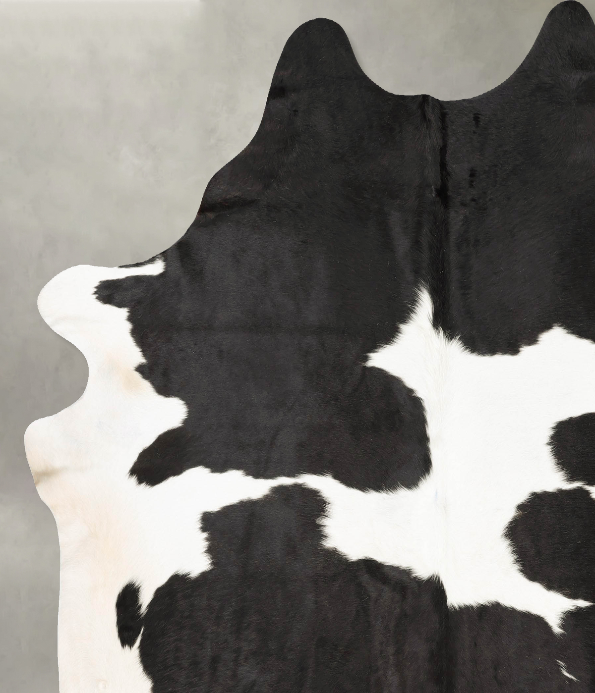Black and White XX-Large Brazilian Cowhide Rug 8'2"H x 7'1"W #B27283 by Hudson Hides