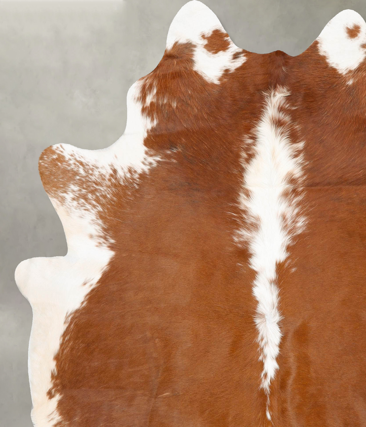 Brown and White X-Large Brazilian Cowhide Rug 7'8"H x 6'6"W #B27286 by Hudson Hides