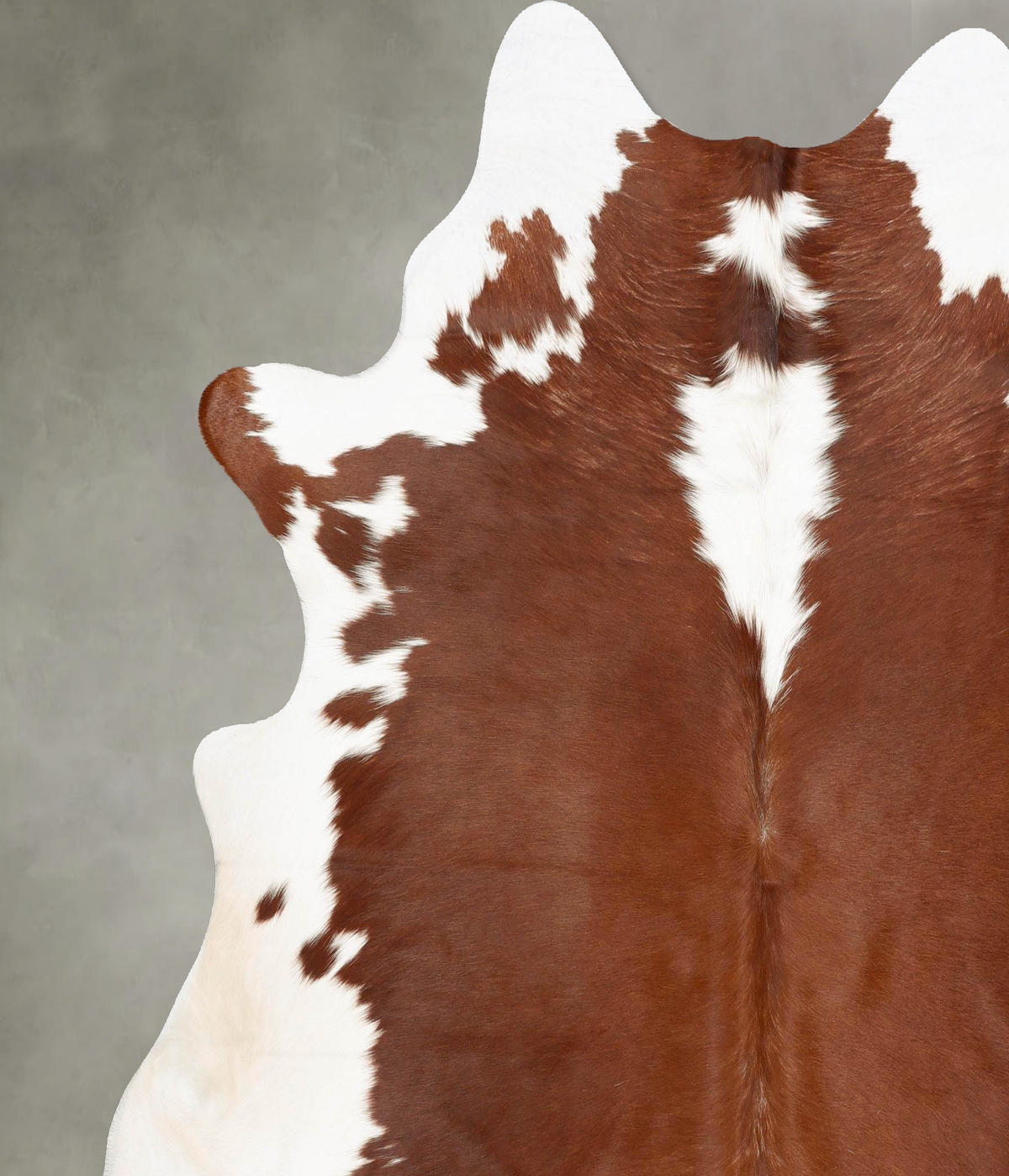 Brown and White Regular XX-Large Brazilian Cowhide Rug 7'7"H x 7'0"W #B27287 by Hudson Hides
