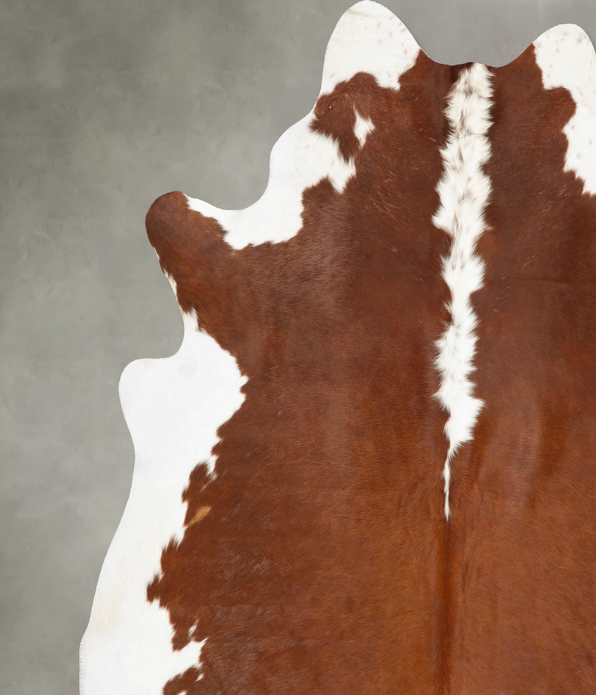 Hereford XX-Large Brazilian Cowhide Rug 8'6"H x 7'9"W #B27288 by Hudson Hides