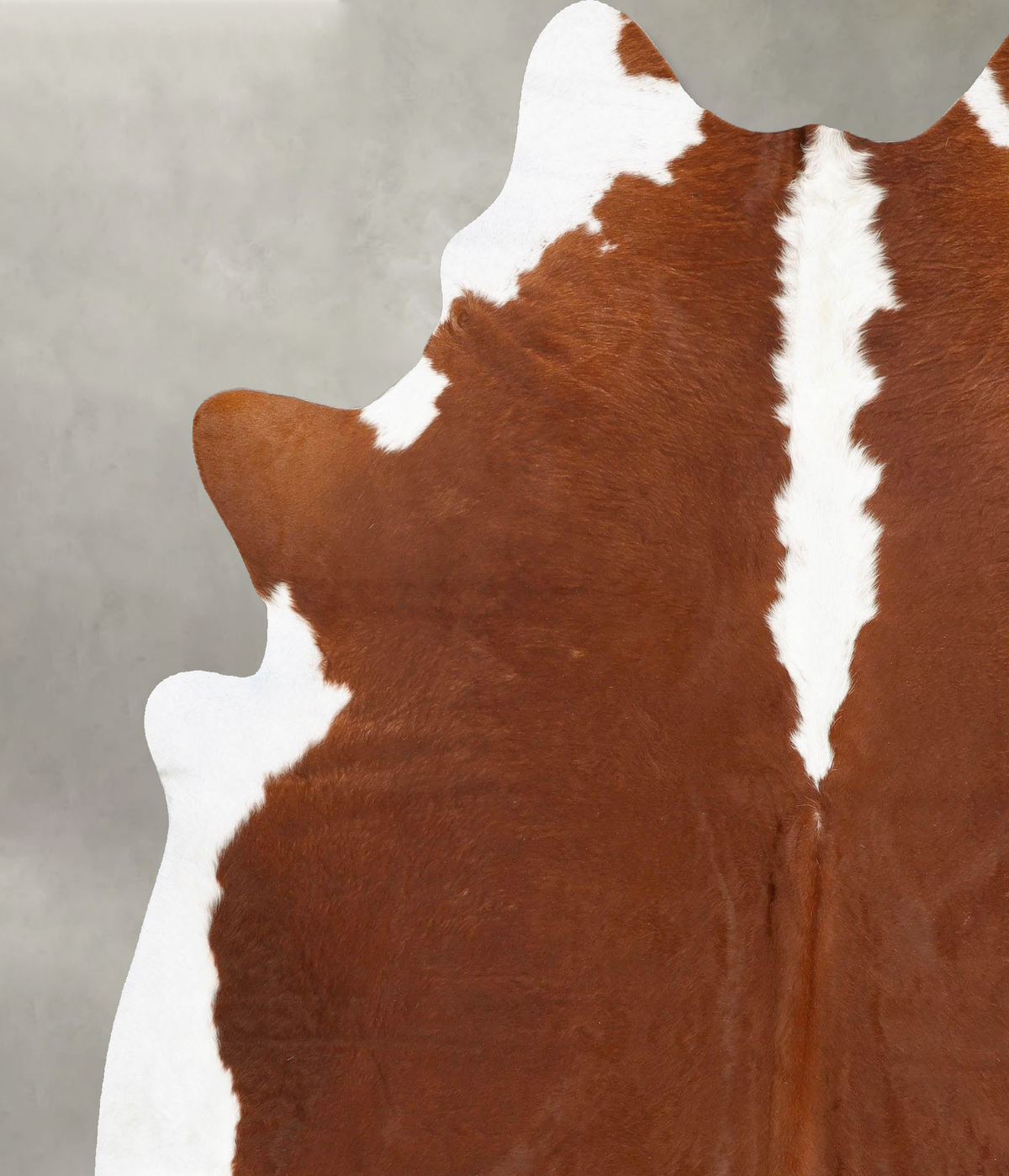 Hereford XX-Large Brazilian Cowhide Rug 8'4"H x 6'11"W #B27289 by Hudson Hides