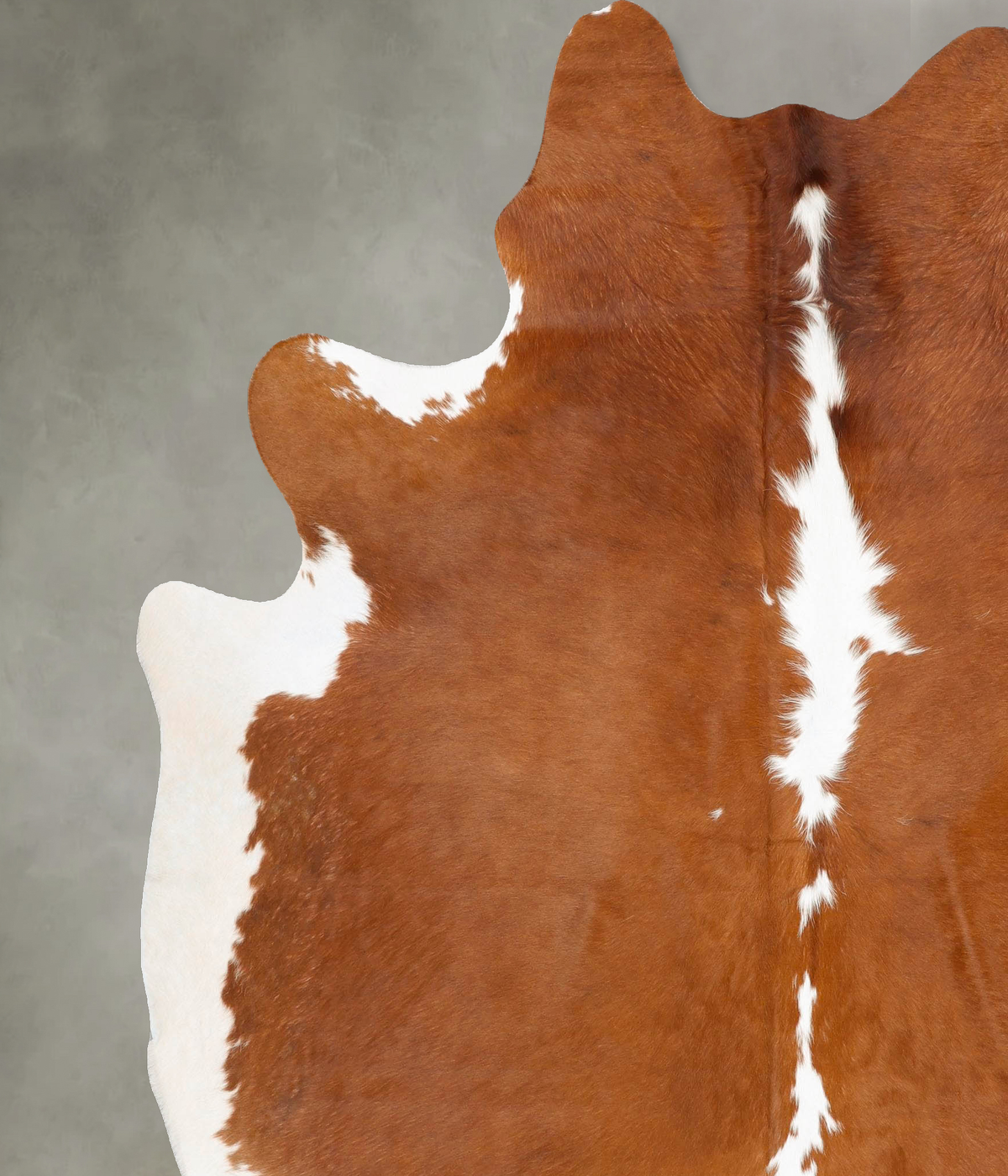 Brown and White XX-Large Brazilian Cowhide Rug 8'6"H x 6'10"W #B27290 by Hudson Hides