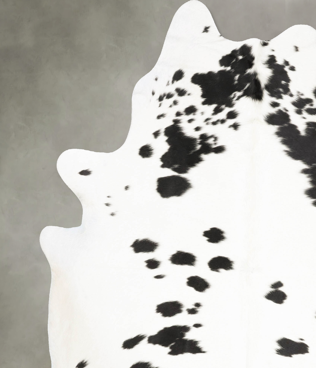 Black and White XX-Large Brazilian Cowhide Rug 8'4"H x 6'8"W #B27295 by Hudson Hides