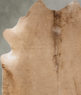 Champagne X-Large Brazilian Cowhide Rug 7'2"H x 6'1"W #B27297 by Hudson Hides