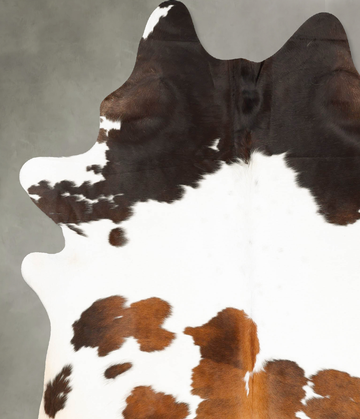 Chocolate and White X-Large Brazilian Cowhide Rug 7'9"H x 6'0"W #B27298 by Hudson Hides