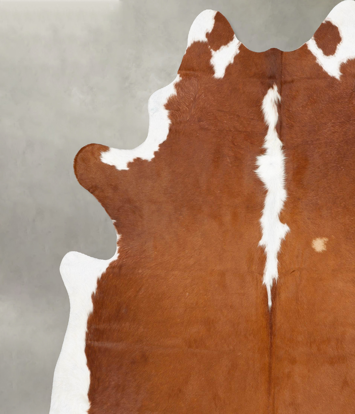 Hereford XX-Large Brazilian Cowhide Rug 8'5"H x 7'5"W #B27304 by Hudson Hides