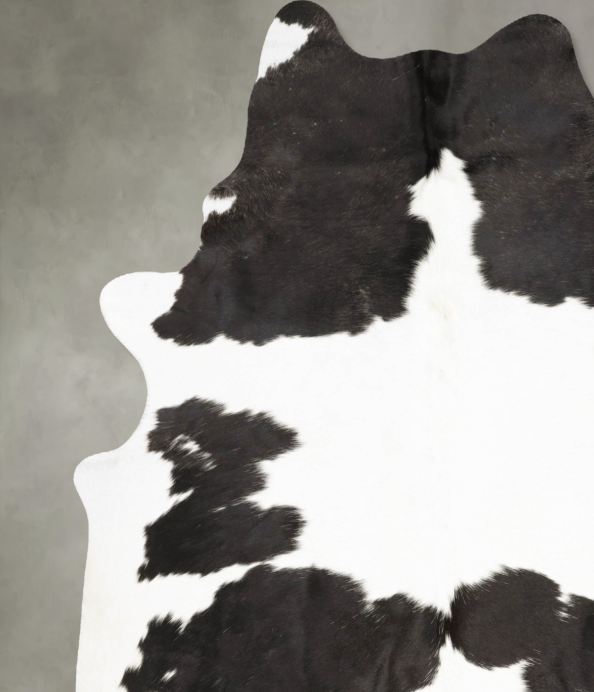 Black and White XX-Large Brazilian Cowhide Rug 8'2"H x 6'6"W #B27308 by Hudson Hides