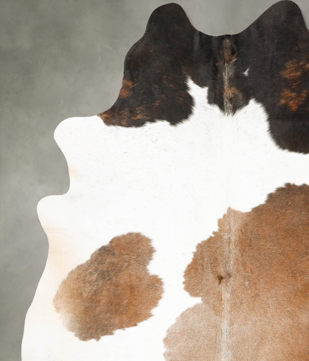 Chocolate and White XX-Large Brazilian Cowhide Rug 8'1"H x 6'11"W #B27313 by Hudson Hides