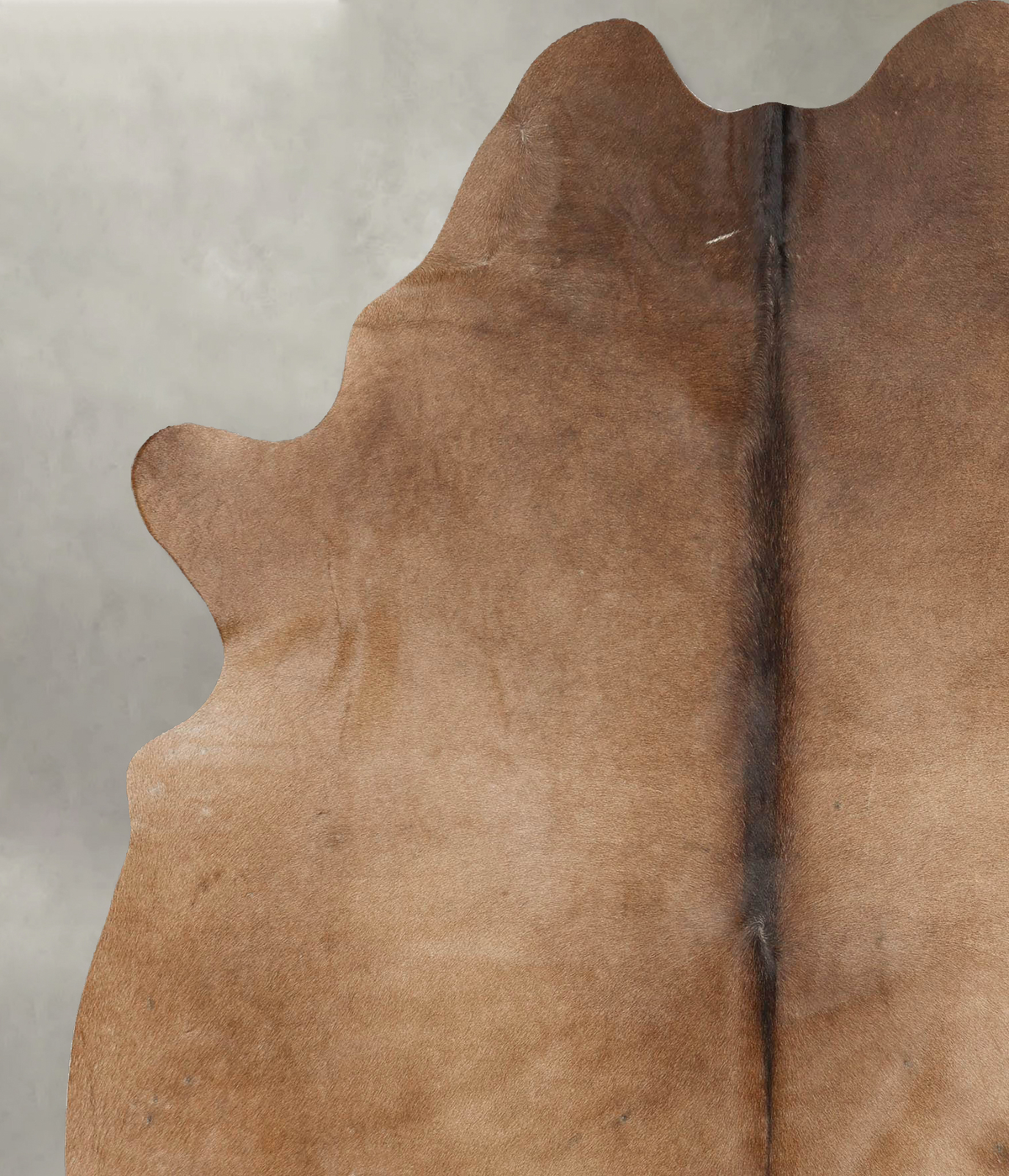 Chocolate X-Large Brazilian Cowhide Rug 7'10"H x 5'11"W #B27316 by Hudson Hides