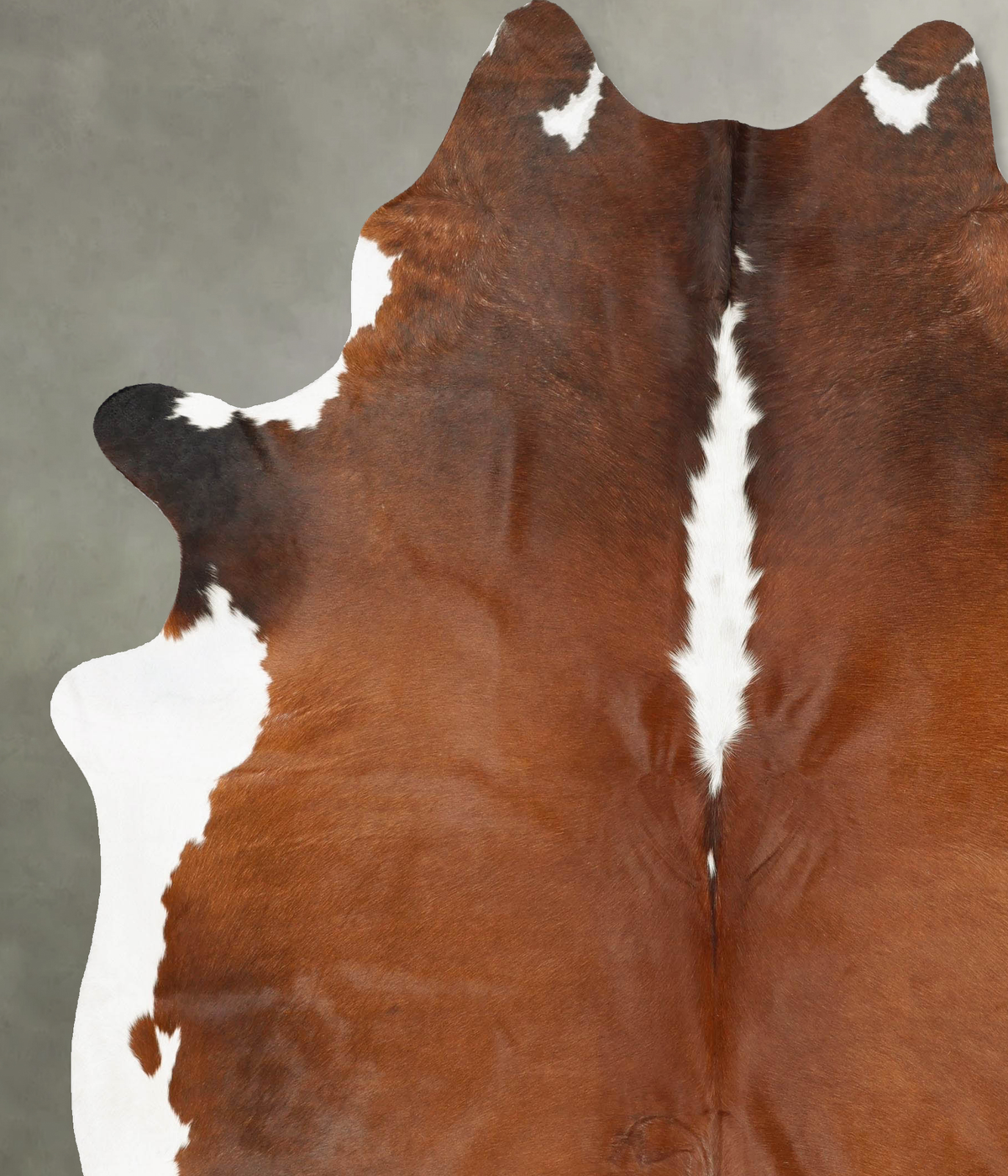 Chocolate and White XX-Large Brazilian Cowhide Rug 8'7"H x 7'1"W #B27324 by Hudson Hides