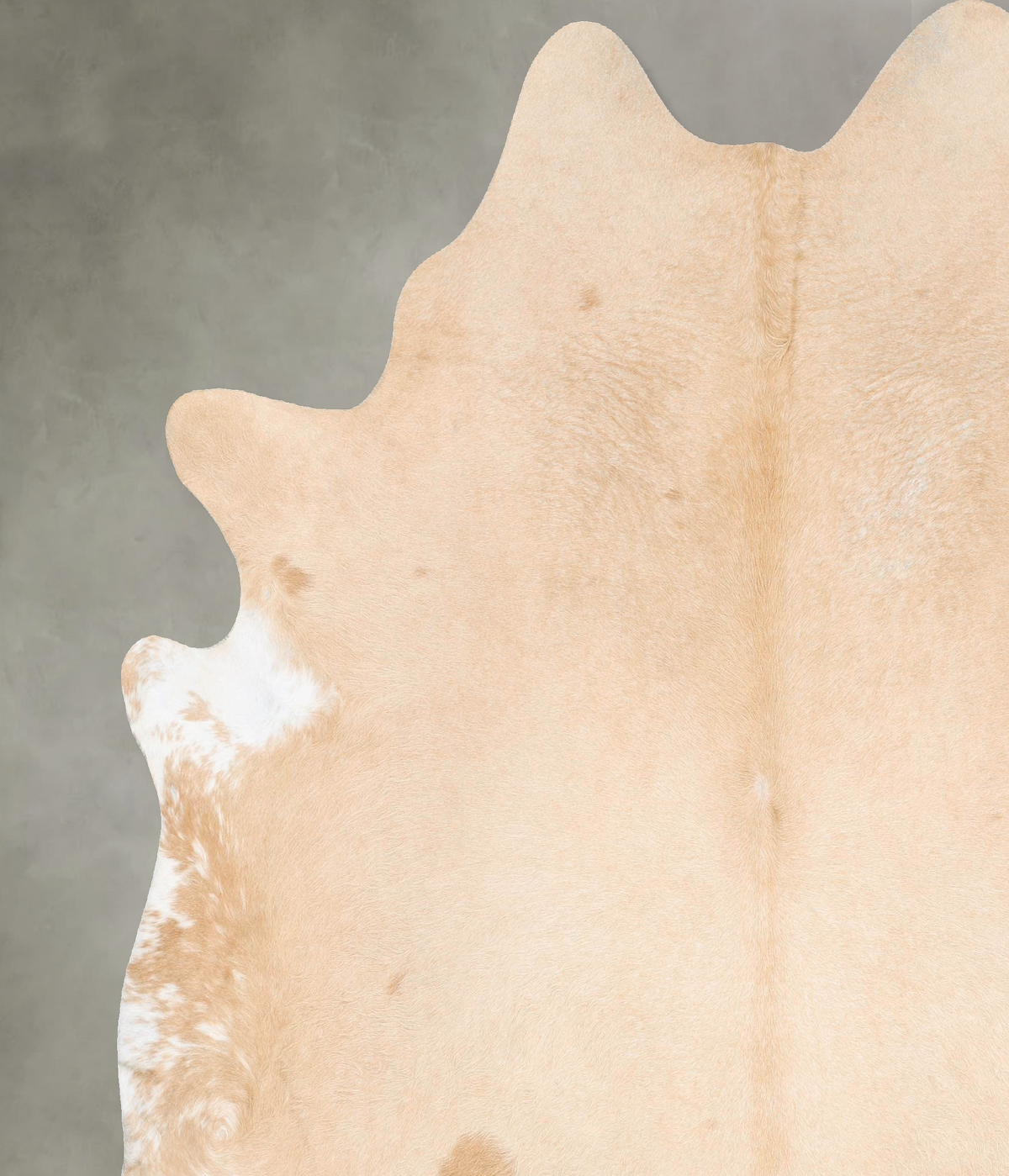 Palomino XX-Large Brazilian Cowhide Rug 8'6"H x 7'7"W #B27326 by Hudson Hides