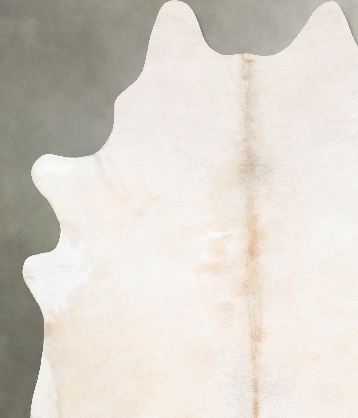 Ivory with Beige XX-Large Brazilian Cowhide Rug 8'10"H x 7'4"W #B27328 by Hudson Hides