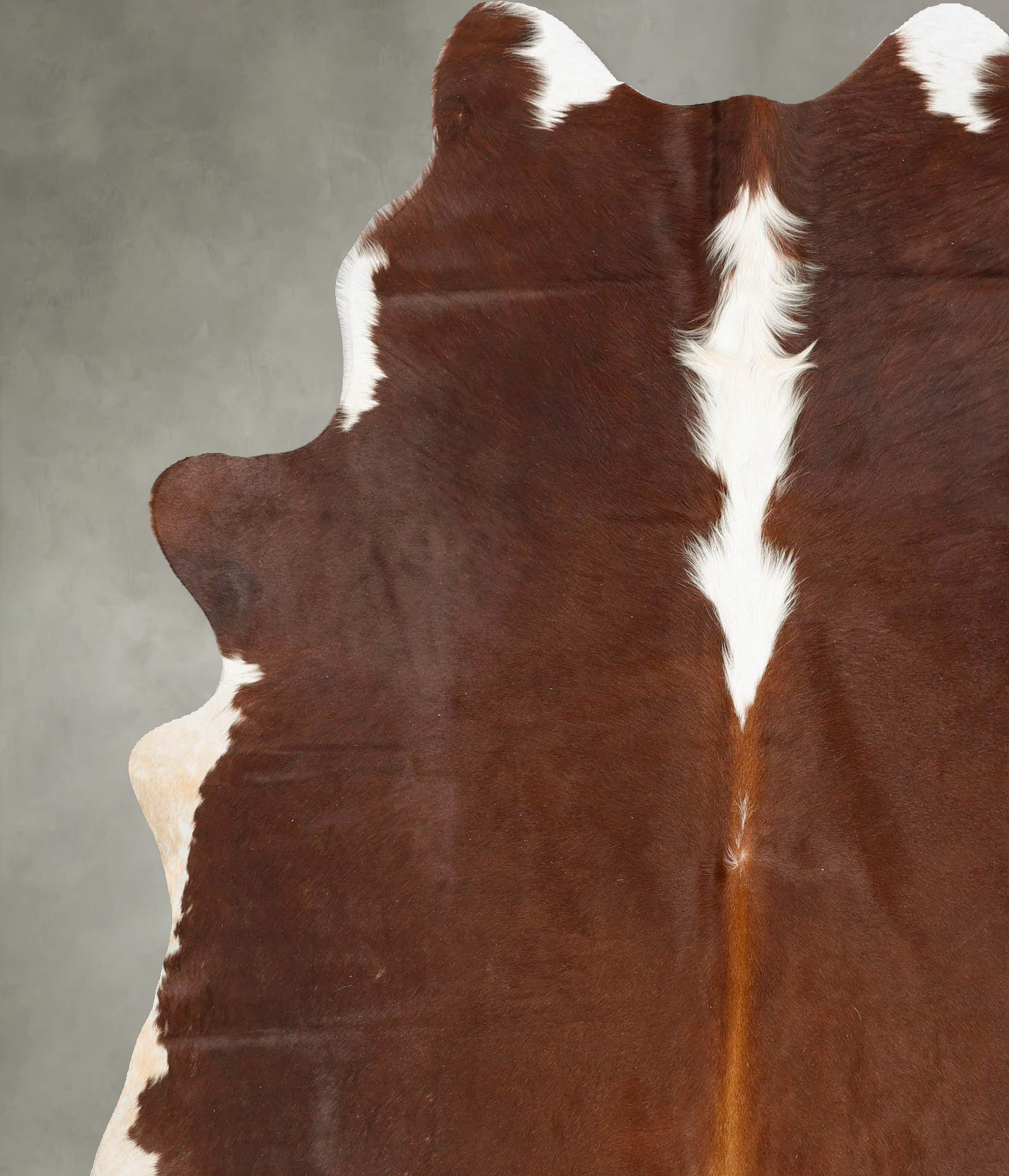 Hereford Cowhide Rug #B27329