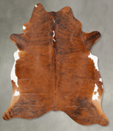 Medium Brindle XX-Large Brazilian Cowhide Rug 8'2"H x 6'7"W #B27330 by Hudson Hides