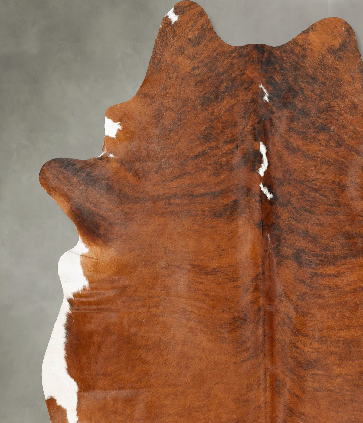 Medium Brindle XX-Large Brazilian Cowhide Rug 8'2"H x 6'7"W #B27330 by Hudson Hides