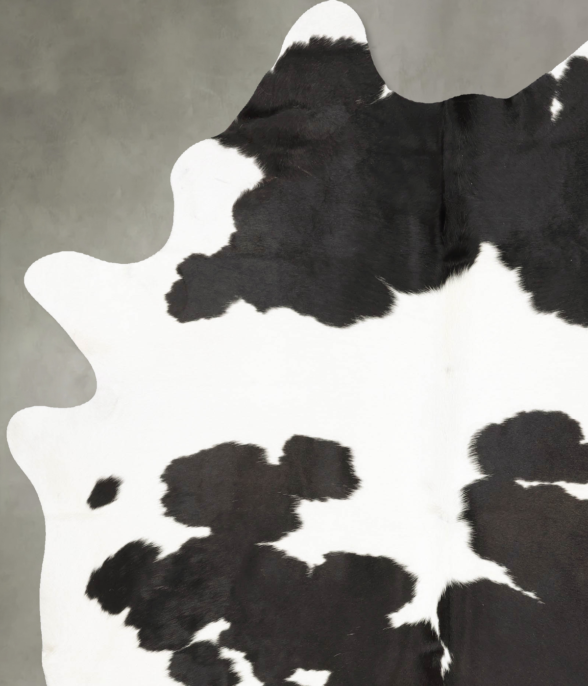 Black and White XX-Large Brazilian Cowhide Rug 8'3"H x 6'3"W #B27335 by Hudson Hides