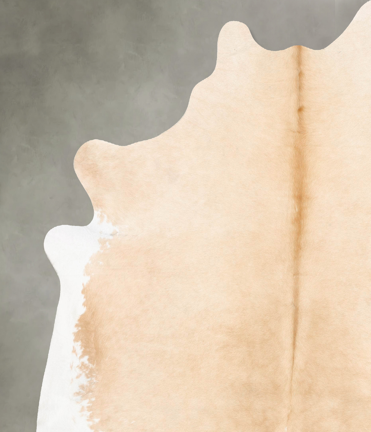 Palomino XX-Large Brazilian Cowhide Rug 8'8"H x 7'4"W #B27337 by Hudson Hides