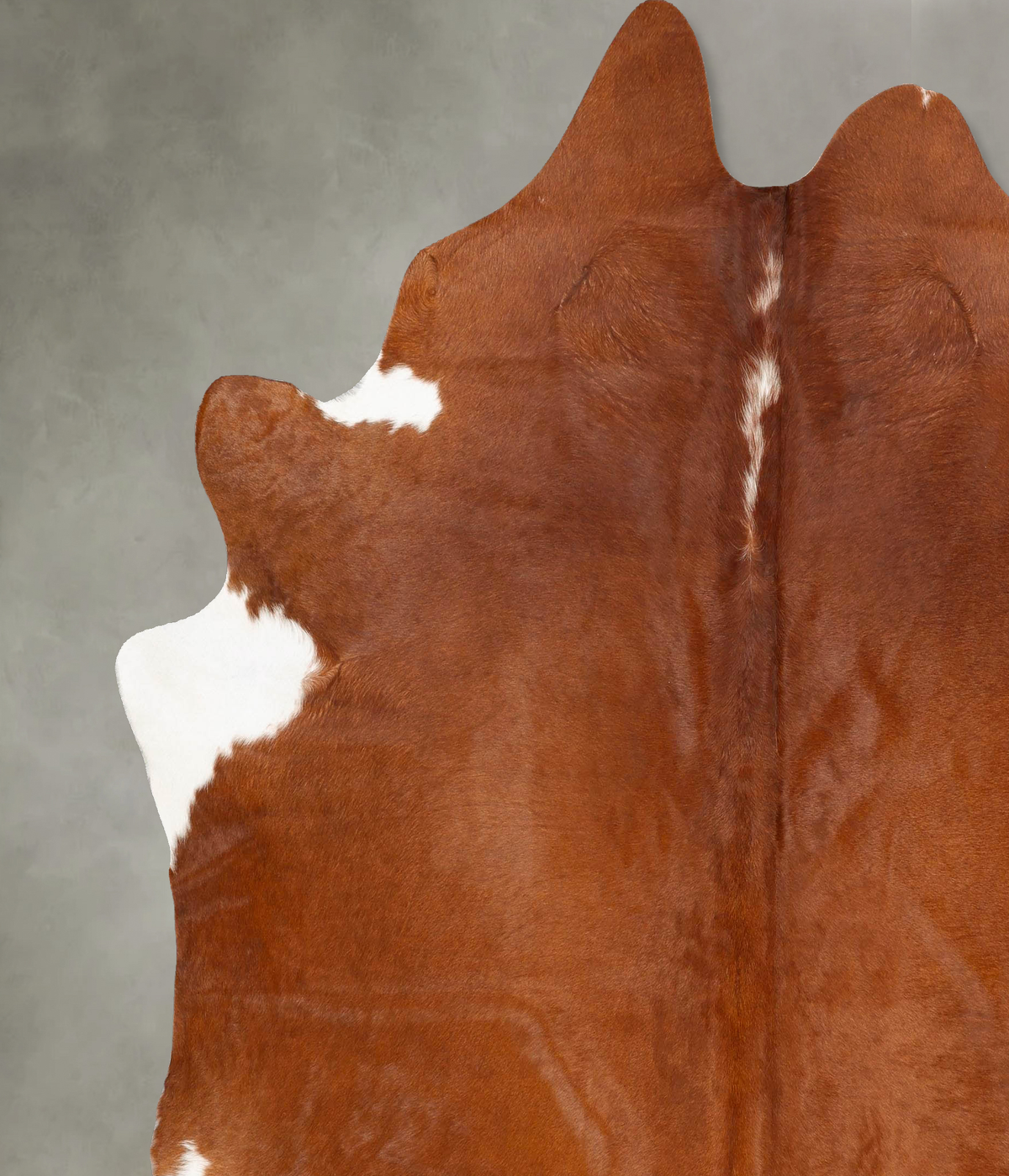 Brown and White Regular XX-Large Brazilian Cowhide Rug 8'2"H x 7'3"W #B27339 by Hudson Hides