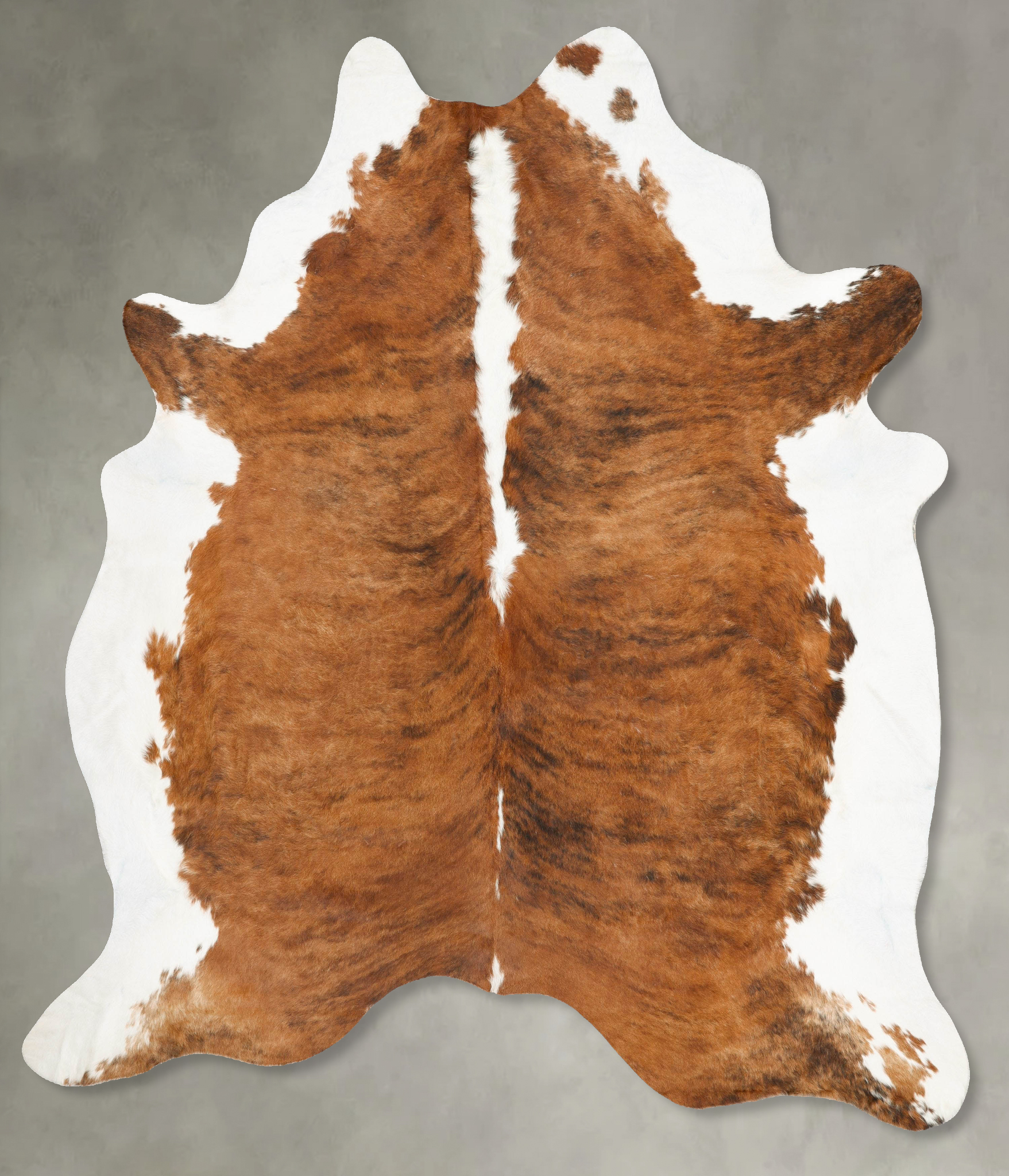 Tricolor Cowhide Rug #B27342