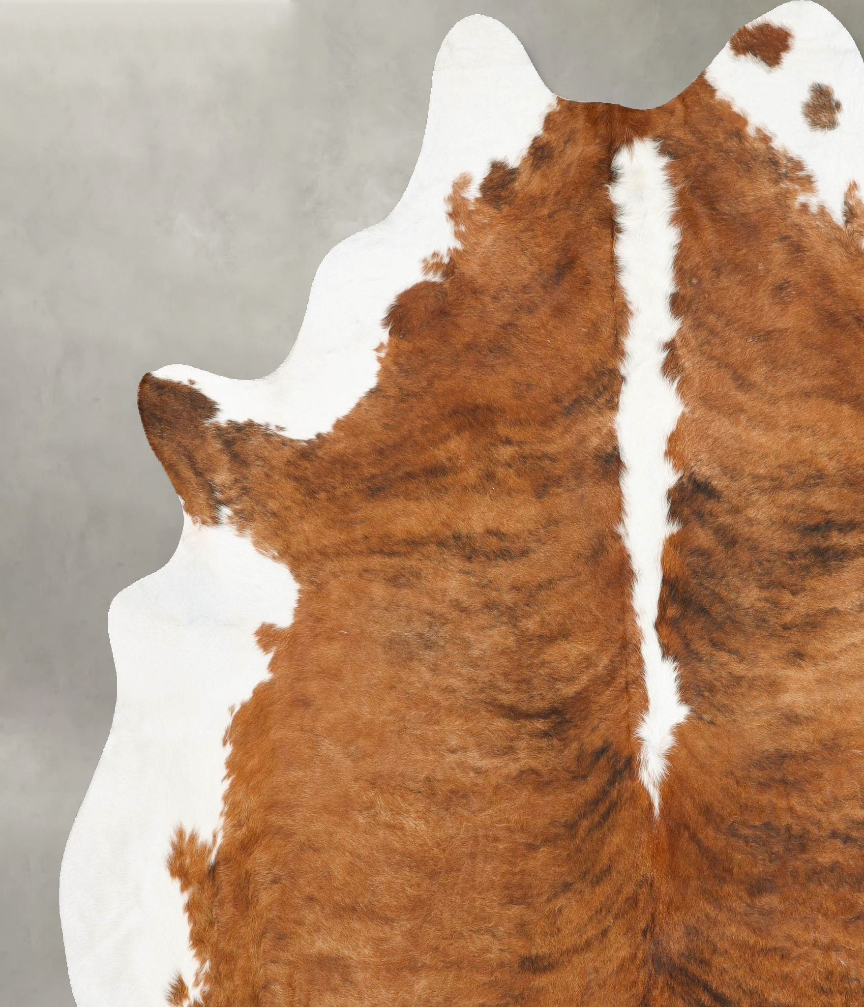 Tricolor Cowhide Rug #B27342