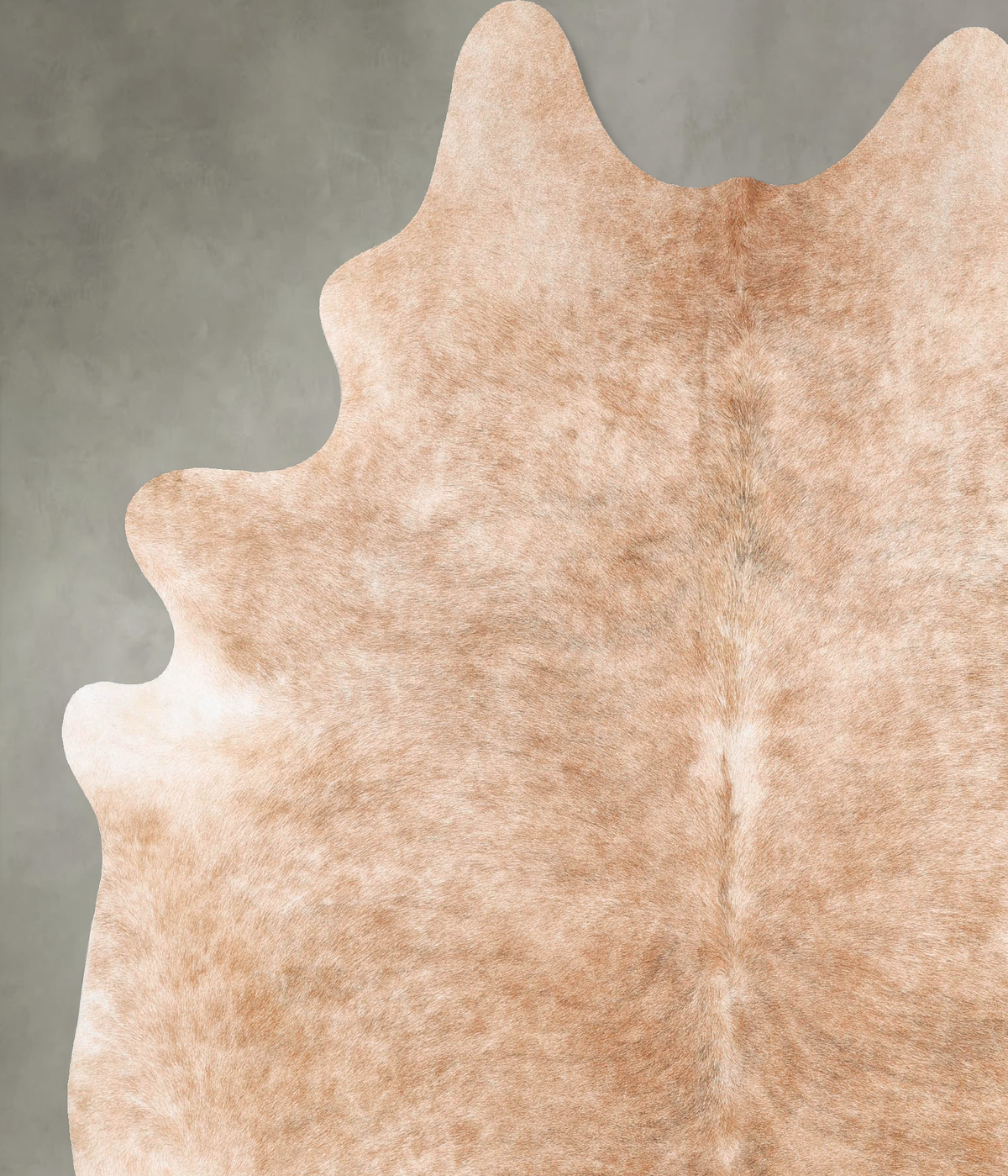 Light Caramel XX-Large Brazilian Cowhide Rug 8'5"H x 7'6"W #B27344 by Hudson Hides