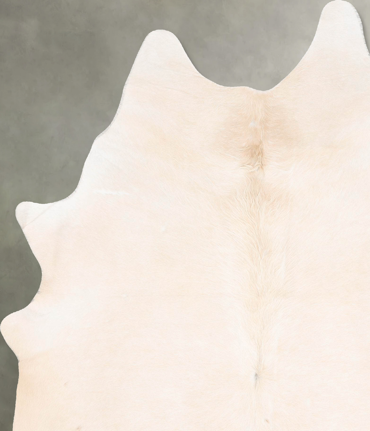 Ivory with Beige XX-Large Brazilian Cowhide Rug 8'5"H x 6'1"W #B27345 by Hudson Hides