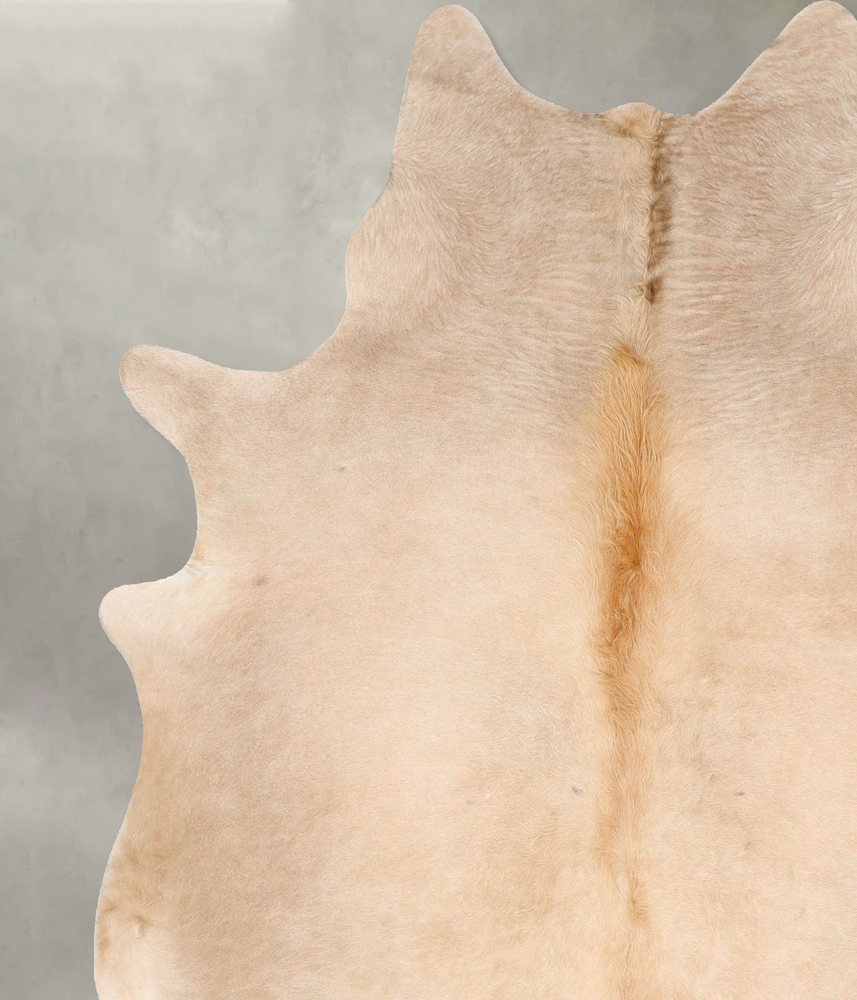 Palomino XX-Large Brazilian Cowhide Rug 8'4"H x 6'8"W #B27349 by Hudson Hides