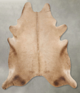 Champagne XX-Large Brazilian Cowhide Rug 8'3"H x 7'4"W #B27363 by Hudson Hides