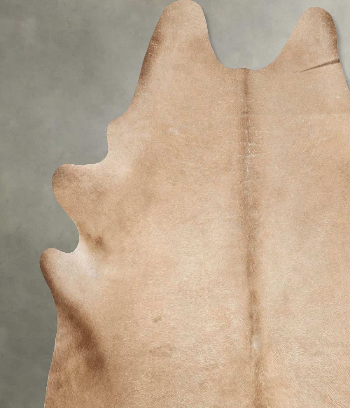 Champagne XX-Large Brazilian Cowhide Rug 8'3"H x 7'4"W #B27363 by Hudson Hides